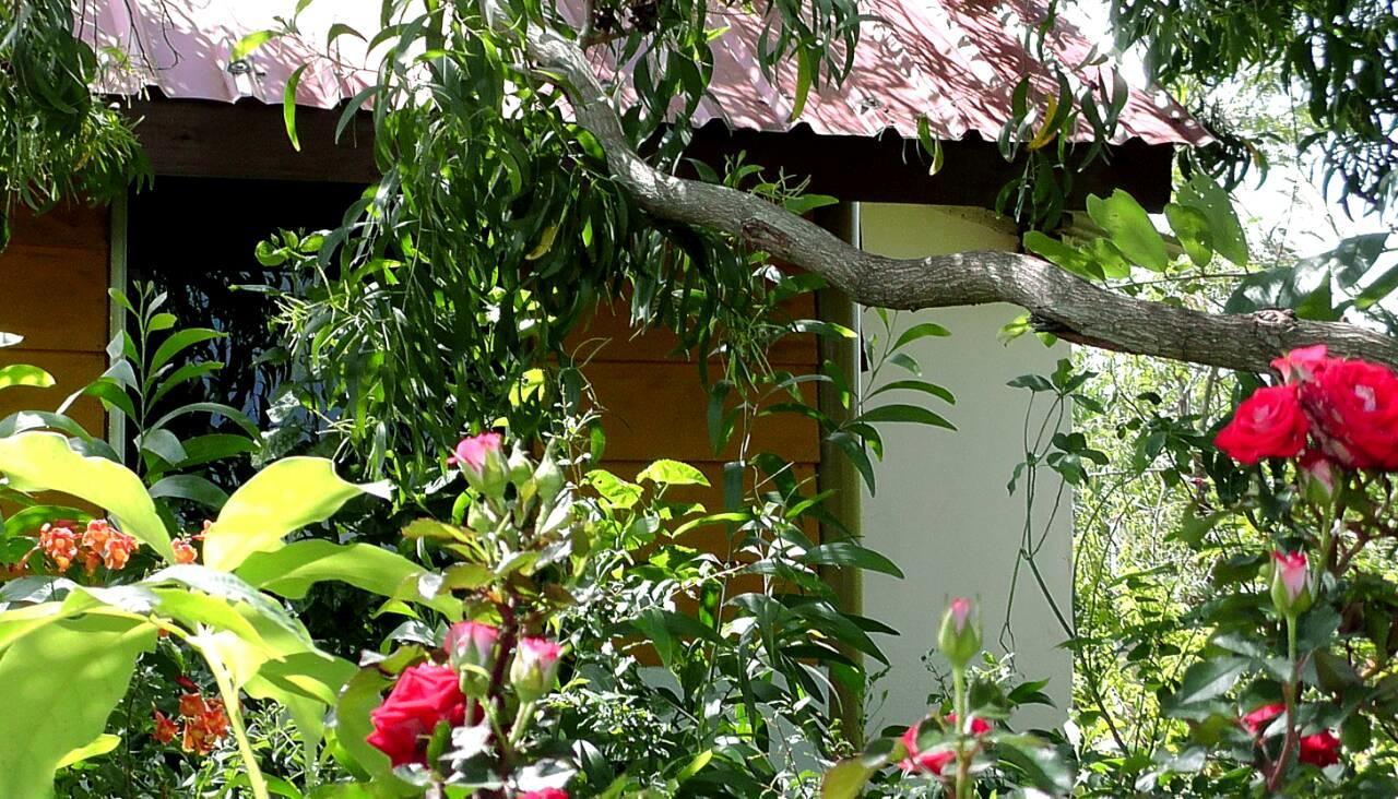 Sunntop Cabana Triquinimale Exterior foto